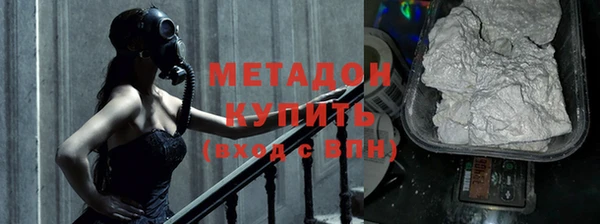 прущие грибы Краснослободск