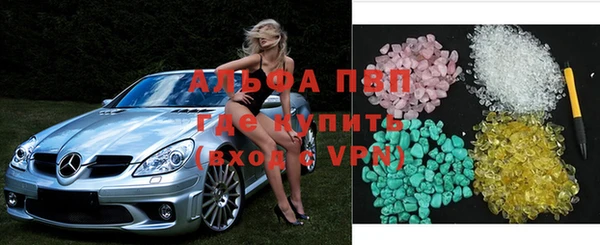прущие грибы Краснослободск