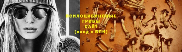 прущие грибы Краснослободск